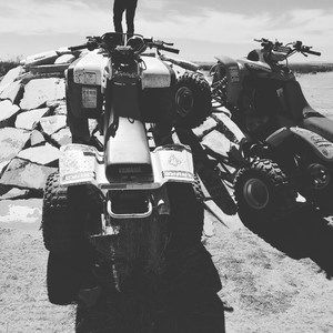 Meet your Posher, Jerry